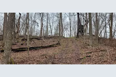 9470 State Route 669, Roseville, OH 43777 - Photo 36