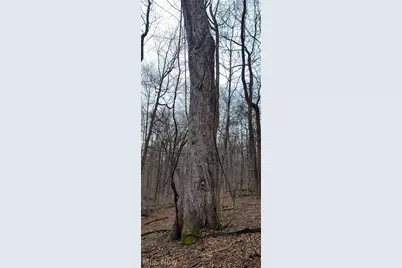 9470 State Route 669, Roseville, OH 43777 - Photo 14