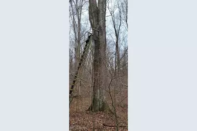 9470 State Route 669, Roseville, OH 43777 - Photo 42