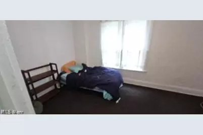 1319 E 66th Street, Loveland, OH 44103 - Photo 16