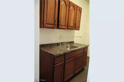 1319 E 66th Street, Loveland, OH 44103 - Photo 36