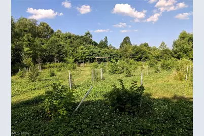 100 Cottage Grove Drive, Youngstown, OH 44505 - Photo 18