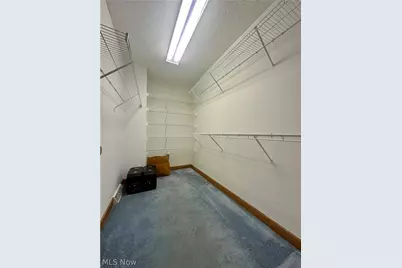 100 Cottage Grove Drive, Youngstown, OH 44505 - Photo 42