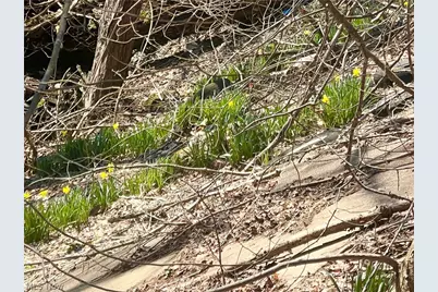 8595 Salem Unity Road, Salem, OH 44460 - Photo 38