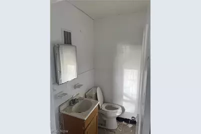 885 E 149th Street, Loveland, OH 44110 - Photo 14