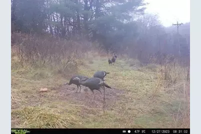 17116 County Road 298, Coshocton, OH 43812 - Photo 44