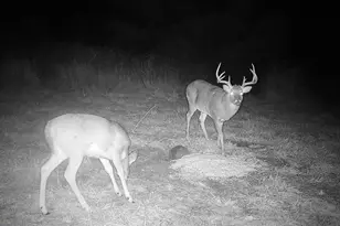 17116 Co Rd 298, Coshocton, OH 43812 - Photo 40