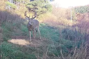 17116 Co Rd 298, Coshocton, OH 43812 - Photo 42