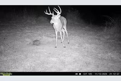 17116 County Road 298, Coshocton, OH 43812 - Photo 40