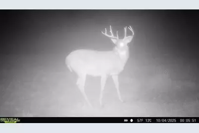 17116 County Road 298, Coshocton, OH 43812 - Photo 42