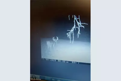 19488 Osborne Road, Salesville, OH 43778 - Photo 22