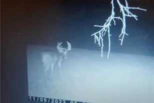 19488 Osborne Rd, Salesville, OH 43778 - Photo 22