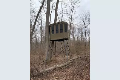 19488 Osborne Road, Salesville, OH 43778 - Photo 12