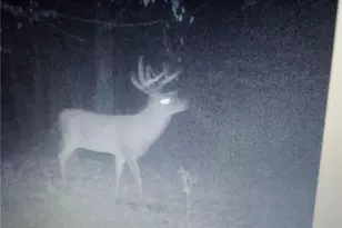 19488 Osborne Rd, Salesville, OH 43778 - Photo 18