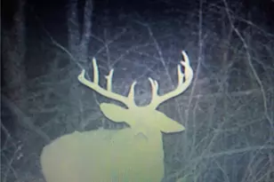 19488 Osborne Rd, Salesville, OH 43778 - Photo 20