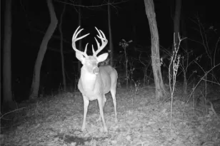 19488 Osborne Rd, Salesville, OH 43778 - Photo 14