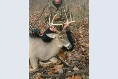 19488 Osborne Road, Salesville, OH 43778 - Photo 16