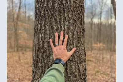 0 Long Fork, Piketon, OH 45661 - Photo 6