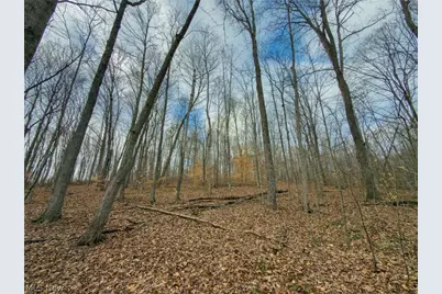 0 Long Fork, Piketon, OH 45661 - Photo 14