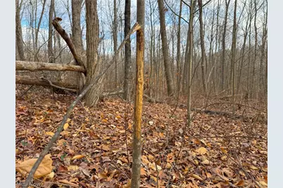 0 Long Fork, Piketon, OH 45661 - Photo 20