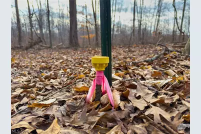 0 Long Fork, Piketon, OH 45661 - Photo 32