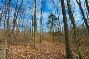 0 Long Fork, Piketon, OH 45661 - Photo 1