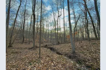 0 Long Fork, Piketon, OH 45661 - Photo 30