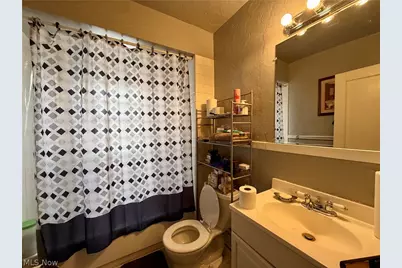 412 E 146th Street, Loveland, OH 44110 - Photo 34