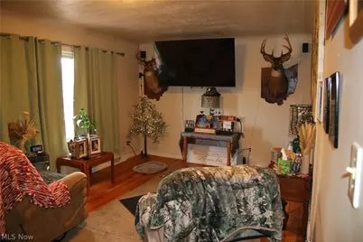 10024 Cummins Lane, Deerfield, OH 44411 - Photo 8