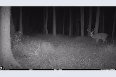 2210 Scroll Road SW, Carrollton, OH 44615 - Photo 38