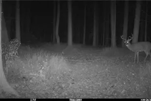 2210 Scroll Rd SW, Carrollton, OH 44615 - Photo 38