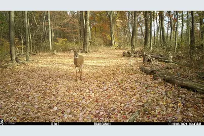 2210 Scroll Road SW, Carrollton, OH 44615 - Photo 40