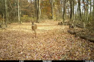 2210 Scroll Rd SW, Carrollton, OH 44615 - Photo 40