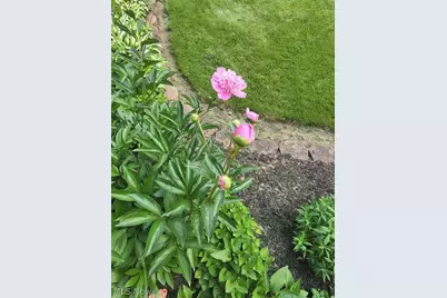 6360 Ramblewood Drive, Mentor, OH 44060 - Photo 46