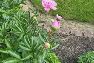 6360 Ramblewood Dr, Mentor, OH 44060 - Photo 46