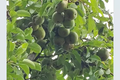 41264 Township Road 58, Coshocton, OH 43812 - Photo 50