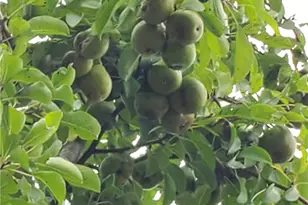 41264 Township Rd 58, Coshocton, OH 43812 - Photo 50