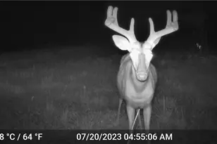 41264 Township Rd 58, Coshocton, OH 43812 - Photo 48