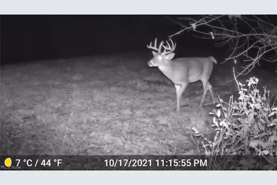 41264 Township Road 58, Coshocton, OH 43812 - Photo 36