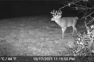 41264 Township Rd 58, Coshocton, OH 43812 - Photo 36