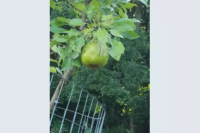 41264 Township Road 58, Coshocton, OH 43812 - Photo 40