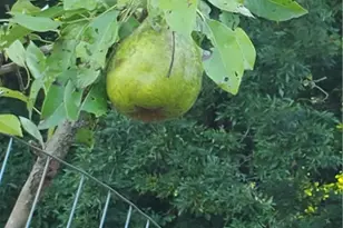 41264 Township Rd 58, Coshocton, OH 43812 - Photo 40