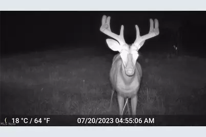 41264 Township Road 58, Coshocton, OH 43812 - Photo 10