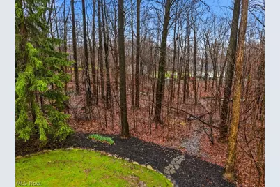 8316 Browning Court, Concord Twp, OH 44060 - Photo 46