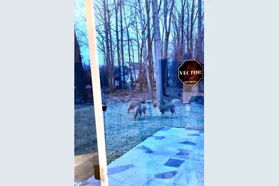 6062 White Tail Lane, Lorain, OH 44053 - Photo 28