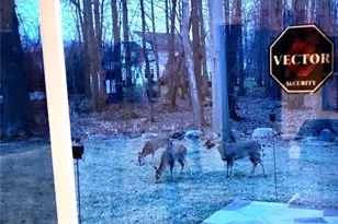 6062 White Tail Ln, Lorain, OH 44053 - Photo 28