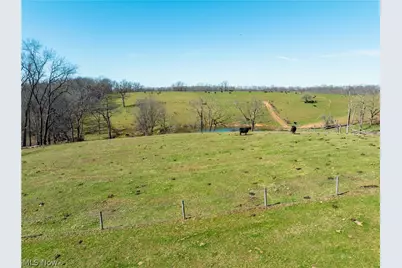 91100 Eckley Road, Jewett, OH 43986 - Photo 24