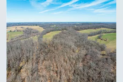 91100 Eckley Road, Jewett, OH 43986 - Photo 30