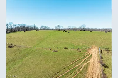 91100 Eckley Road, Jewett, OH 43986 - Photo 26