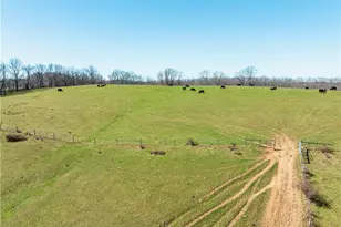 91100 Eckley Rd, Jewett, OH 43986 - Photo 26